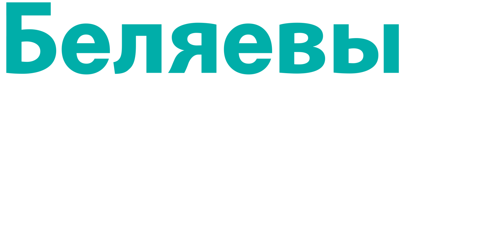 Belyaevy & Partners — Business ecosystem